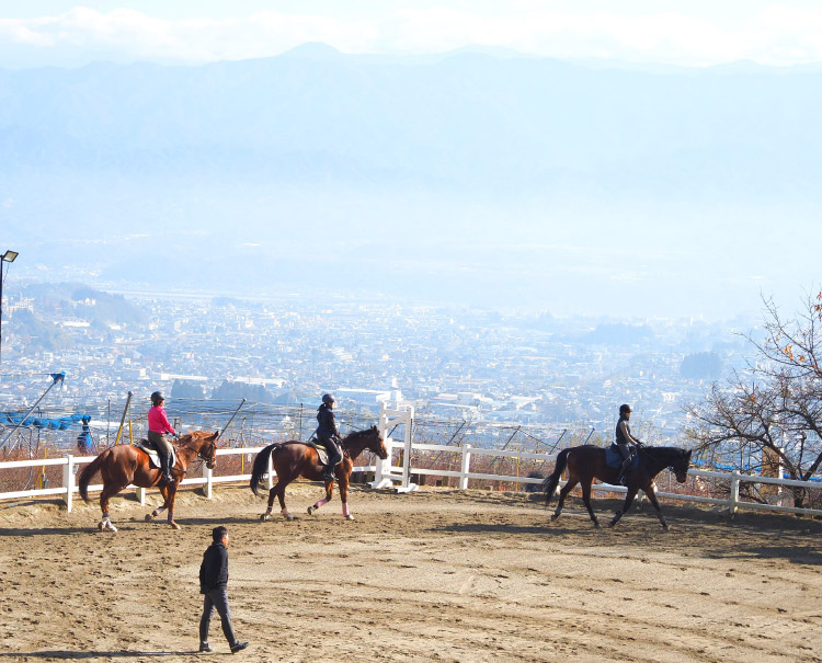 南アルプスを一望できる馬場でのレッスン